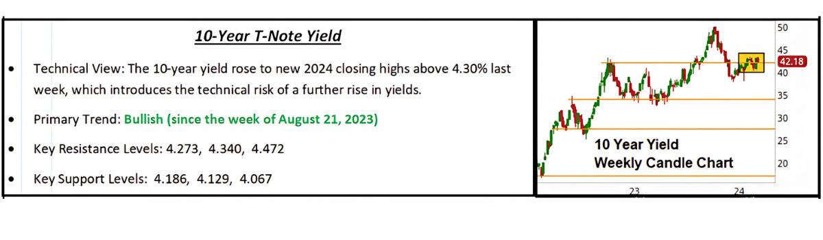 Bitcoin Halving Chart